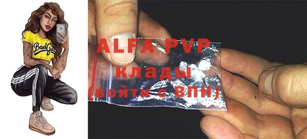 дживик Корсаков