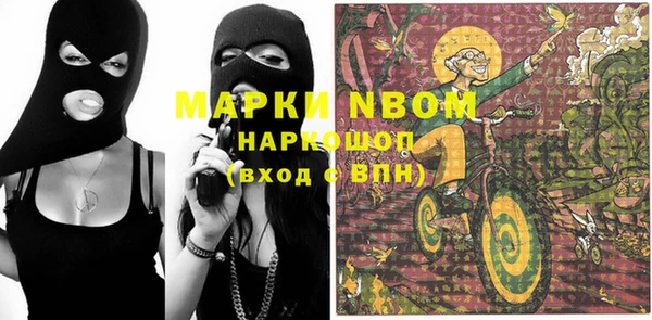 прущие грибы Костерёво