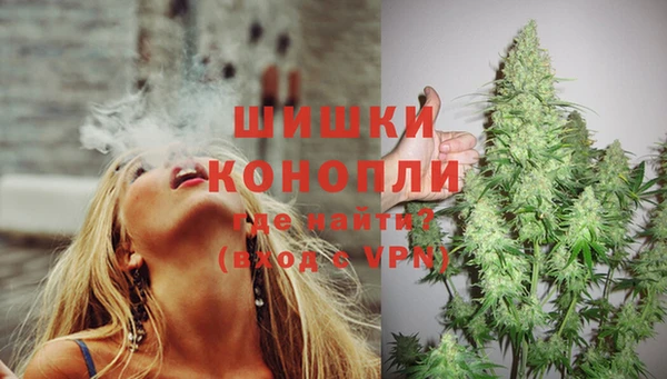 прущие грибы Костерёво