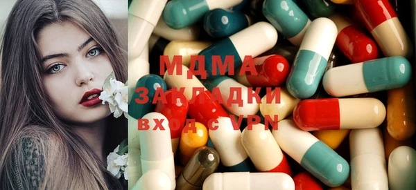 прущие грибы Костерёво